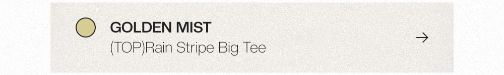 GOLDEN MIST - Rain Stripe Big Tee 상세보기